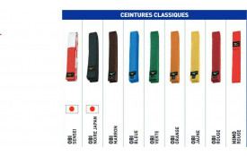 Ceinture avec Broderie